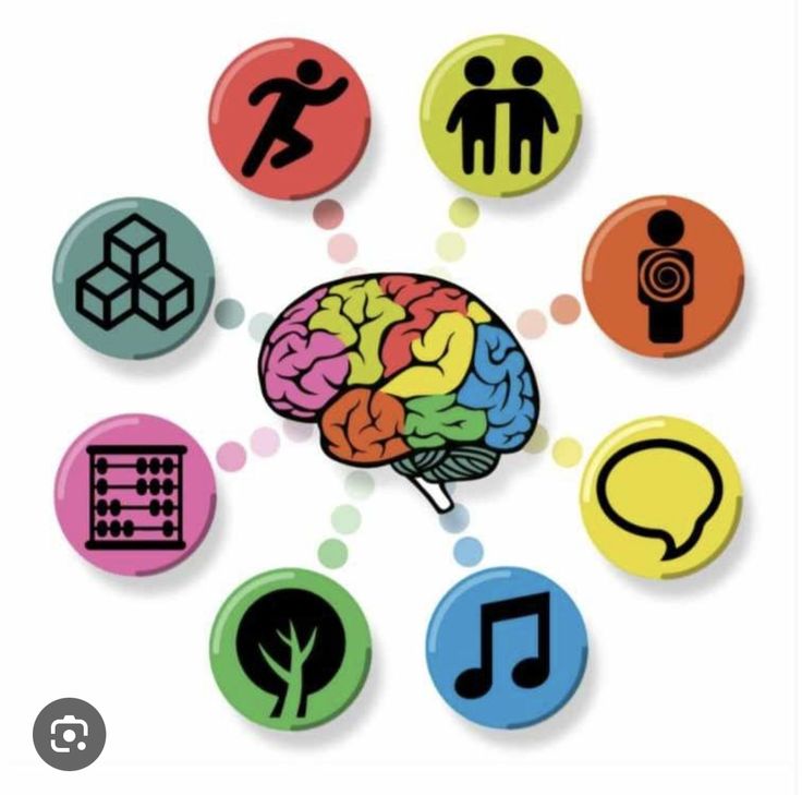 Imagen descriptiva de la diversidad de inteligencias que puede desarrollar el cerebro humano como son : inteligencia lingüistica ,inteligencia logica matematica,inteligencia espacial, inteligencia corporal y cinetica ,inteligencia musical , inteligencia interpersonal , inteligencia intrapersonal,inteligencia naturalista.